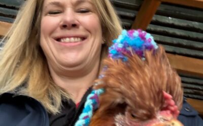 Selfies and Roosters